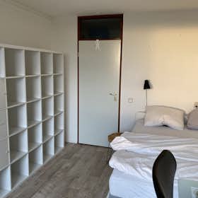 Apartment for rent for €2,200 per month in Diemen, Rode Kruislaan
