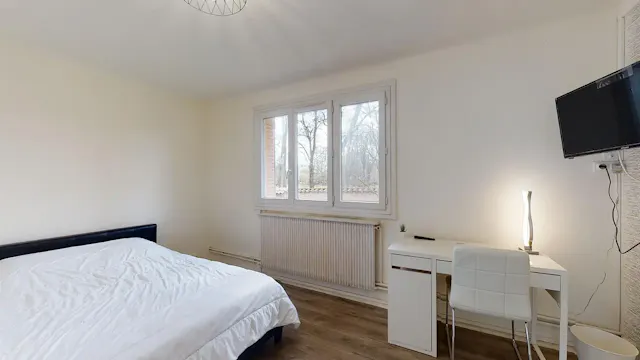Private room in Rue Pierre Voyant, Villeurbanne (1503696) room image 2