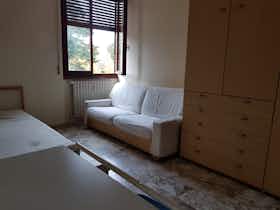 Private room for rent for €520 per month in Pisa, Via San Giuseppe Benedetto Cottolengo