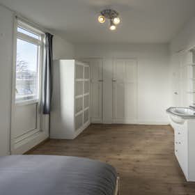 Отдельная комната сдается в аренду за 934 € в месяц в Rotterdam, Stadhoudersweg