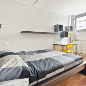 Private room for rent for €700 per month in Milan, Via Ernesto Breda