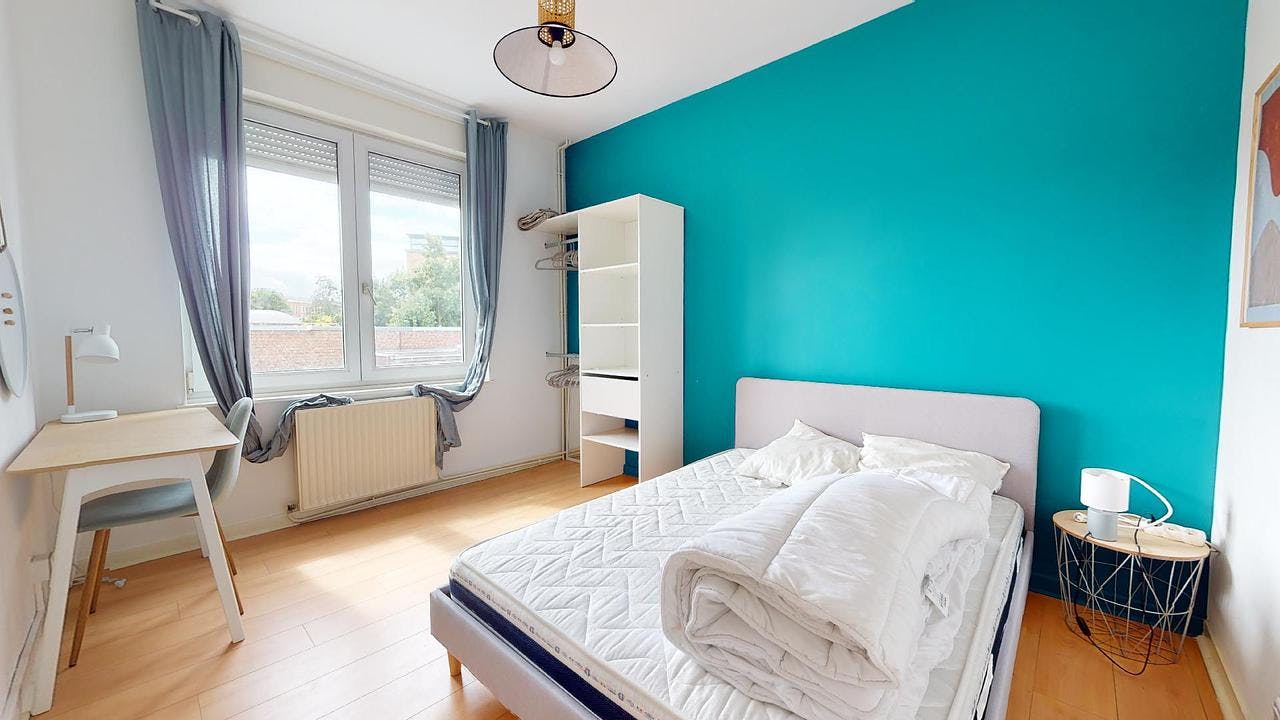 Rue de Mulhouse, Lille preview