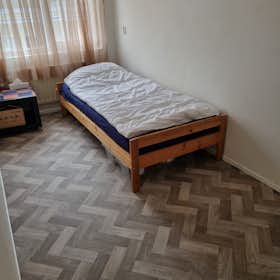 Отдельная комната сдается в аренду за 650 € в месяц в Rotterdam, Nancy Zeelenbergsingel