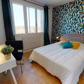 Private room for rent for €578 per month in Villeurbanne, Avenue Roger Salengro