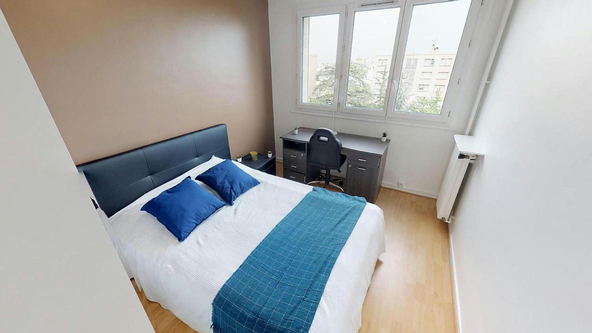 Rue Jean Voillot, Villeurbanne preview