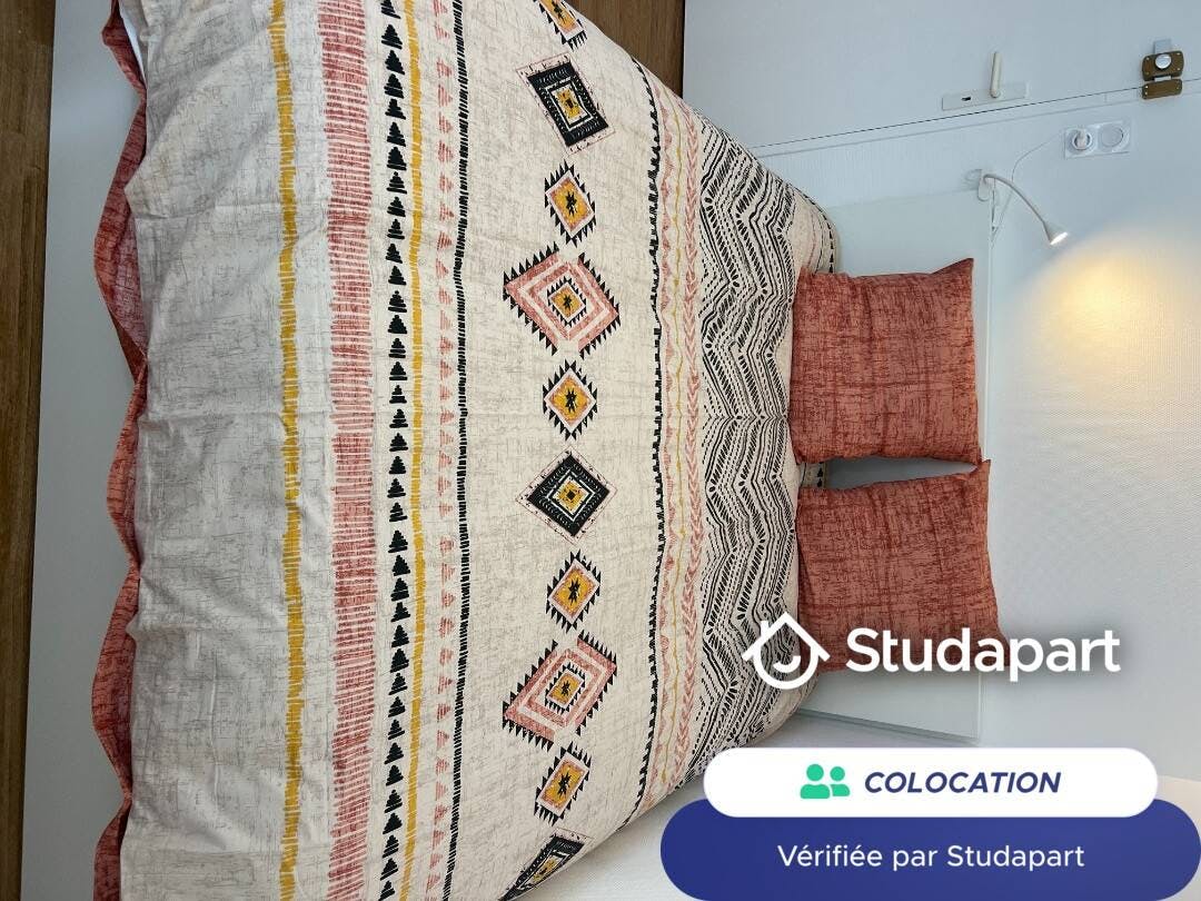 Private room for rent on Rue Paul Décamps, Toulouse - View 5