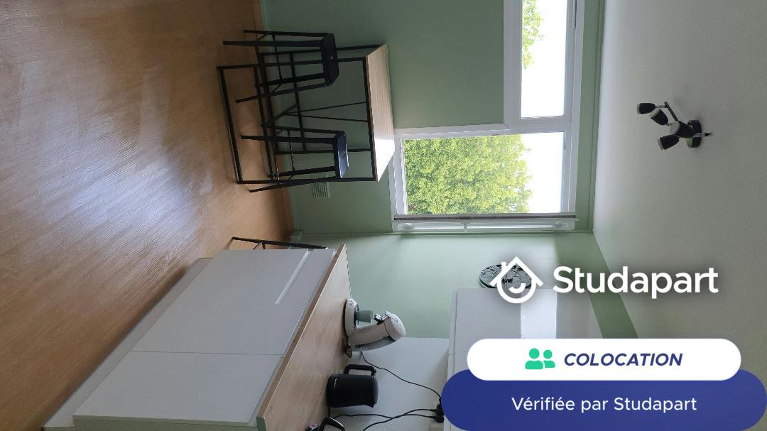 Private room for rent on Rue Henry Dunant, Lille - Vue 4