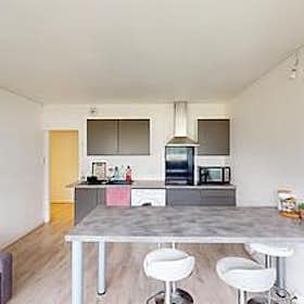 Отдельная комната сдается в аренду за 360 € в месяц в Grenoble, Avenue Malherbe
