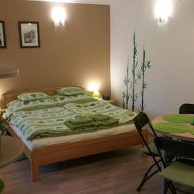 Studio for rent for €750 per month in Budapest, Víznyelő utca