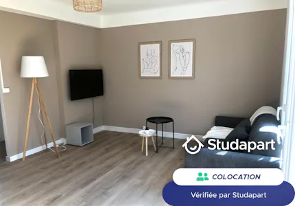 Private room for rent on Rue Émile Gaboriau, Montpellier