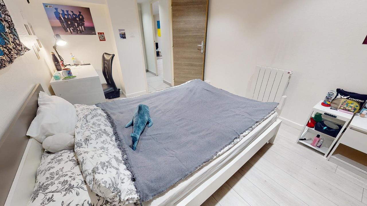 Private room for rent on Rue du Coin, Saint-Étienne - Όψη 4