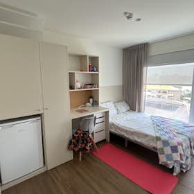 WG-Zimmer for rent for 540 € per month in Porto, Rua do Doutor Júlio de Matos