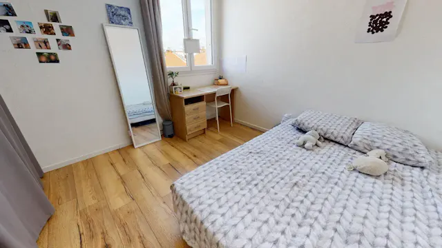 Private room in Rue Pierre Voyant, Villeurbanne (1505870) room image 2