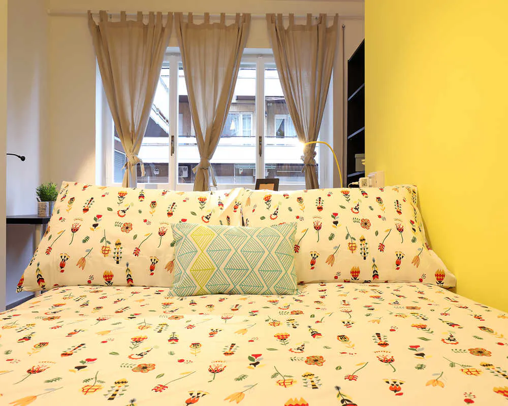 Private room in Via Antonino Lo Surdo, Rome (1505946) ROOM