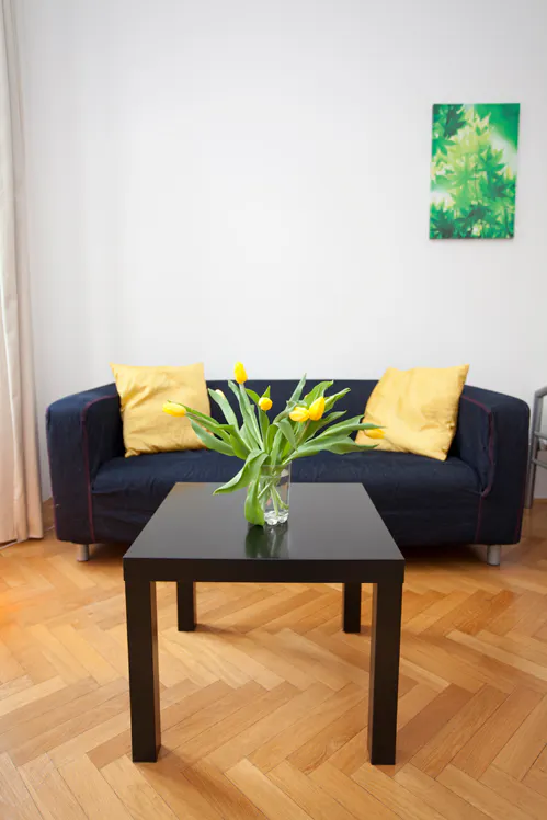 1-Bedroom Apartment in Wiedner Hauptstraße, Vienna (1506101) room image 1