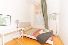 Private room for rent for HUF 151,140 per month in Budapest, Teréz körút