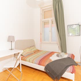 Private room for rent for HUF 152,064 per month in Budapest, Teréz körút