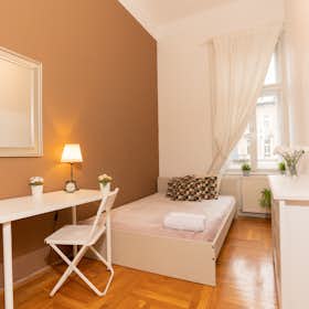 Private room for rent for HUF 114,084 per month in Budapest, Teréz körút