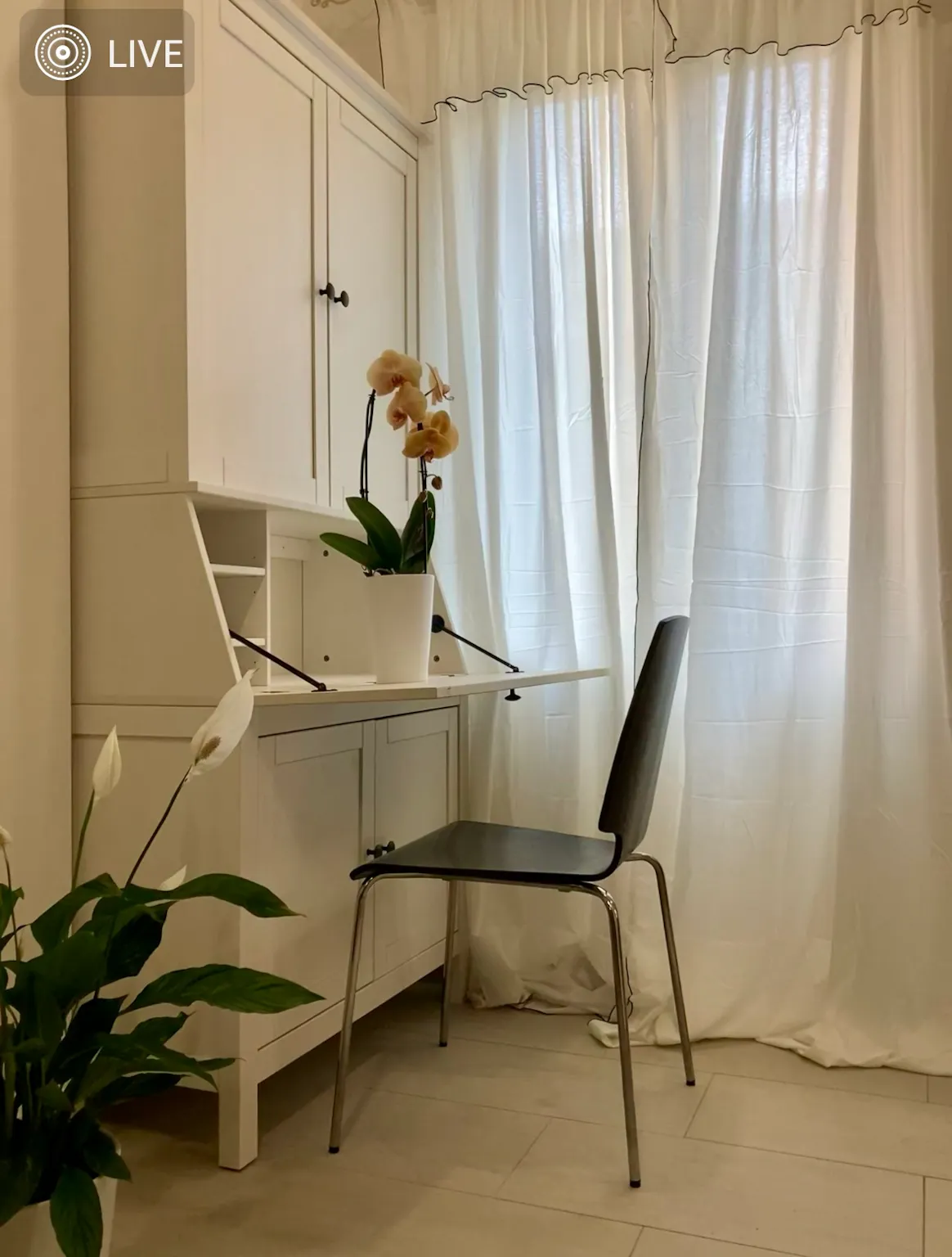 Apartment in Mura di Porta d'Azeglio, Bologna (1506180) ROOM 4