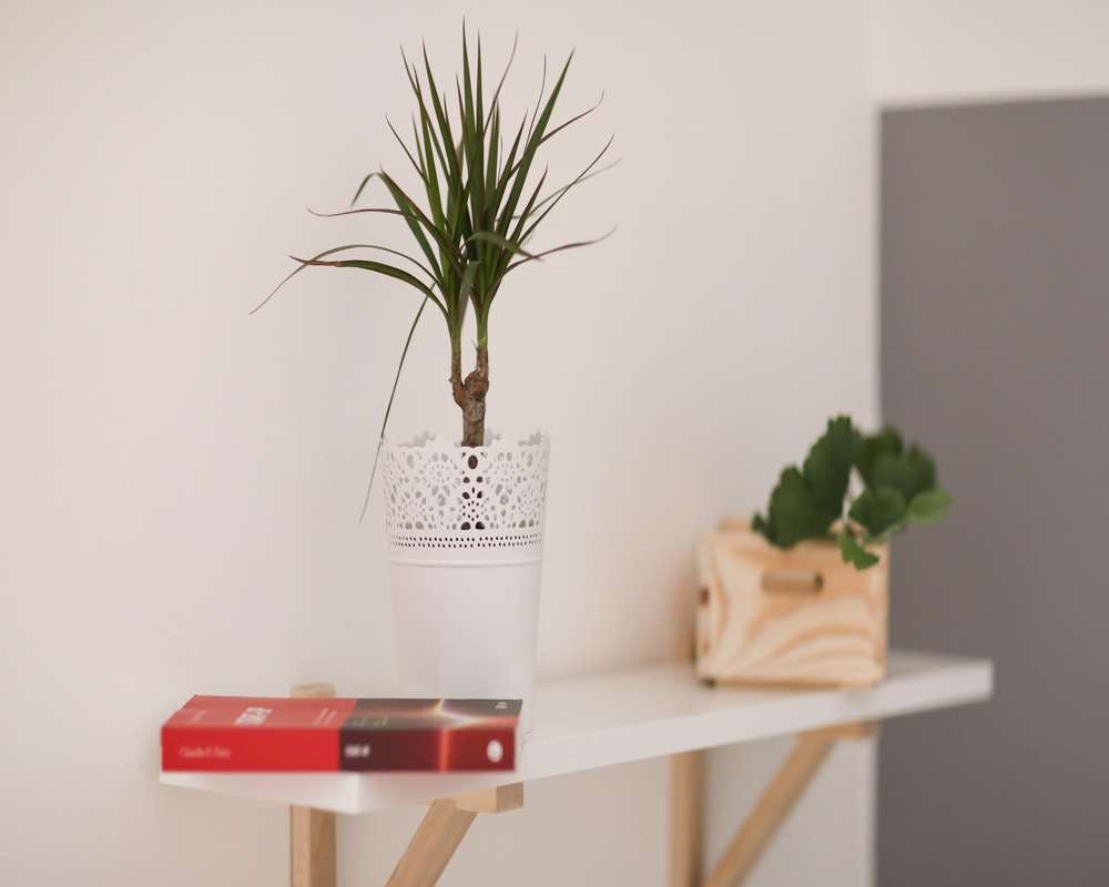 Viale Romagna, Milan