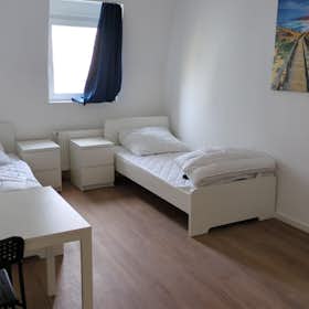 Private room for rent for €1,250 per month in Frankfurt am Main, Königsteiner Straße