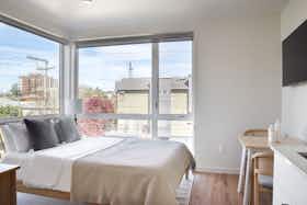 单间公寓 正在以 $1,566 的月租出租，其位于 Seattle, E Marion St