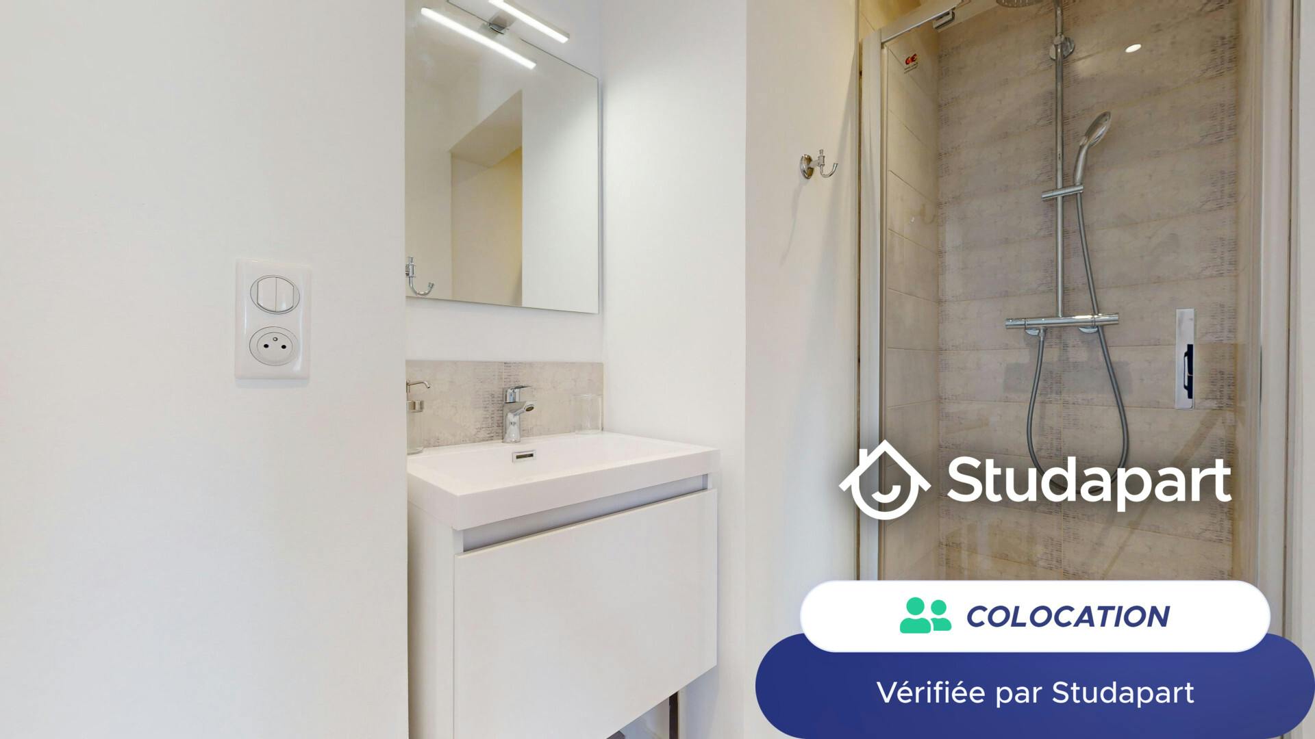 Private room for rent on Rue Maryse Bastié, Lyon - Plus