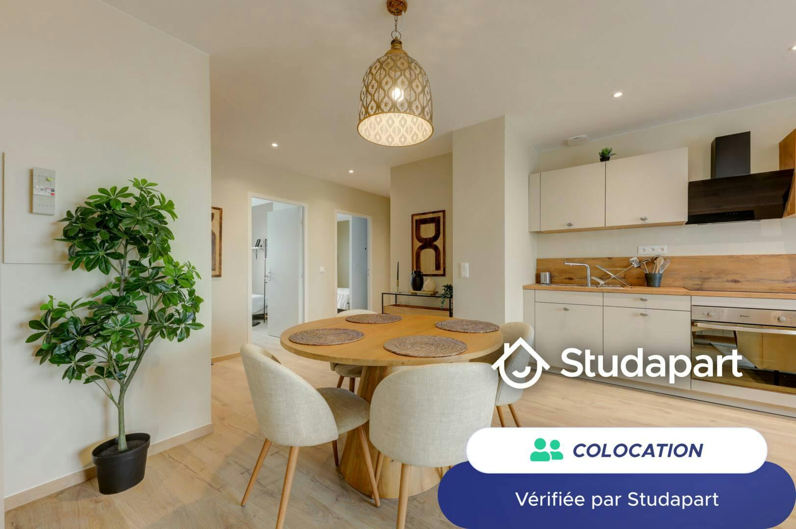 Private room for rent on Avenue Rockefeller, Lyon - Vue 4