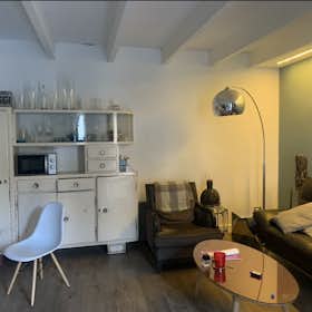 Studio for rent for €2,200 per month in Florence, Via Il Prato