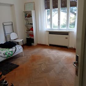 Chambre privée à louer pour 445 €/mois à Trento, Via Regina Pacis