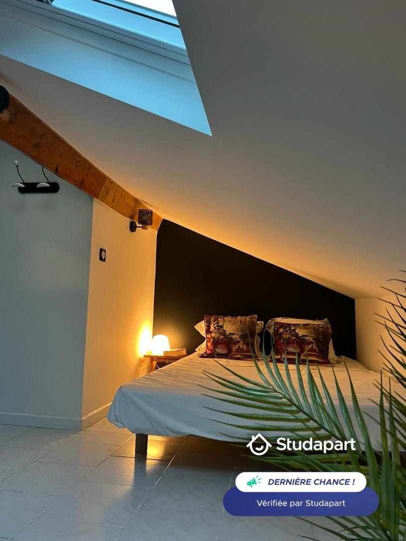 Apartment for rent for €780 per month in Nice, Avenue Auber