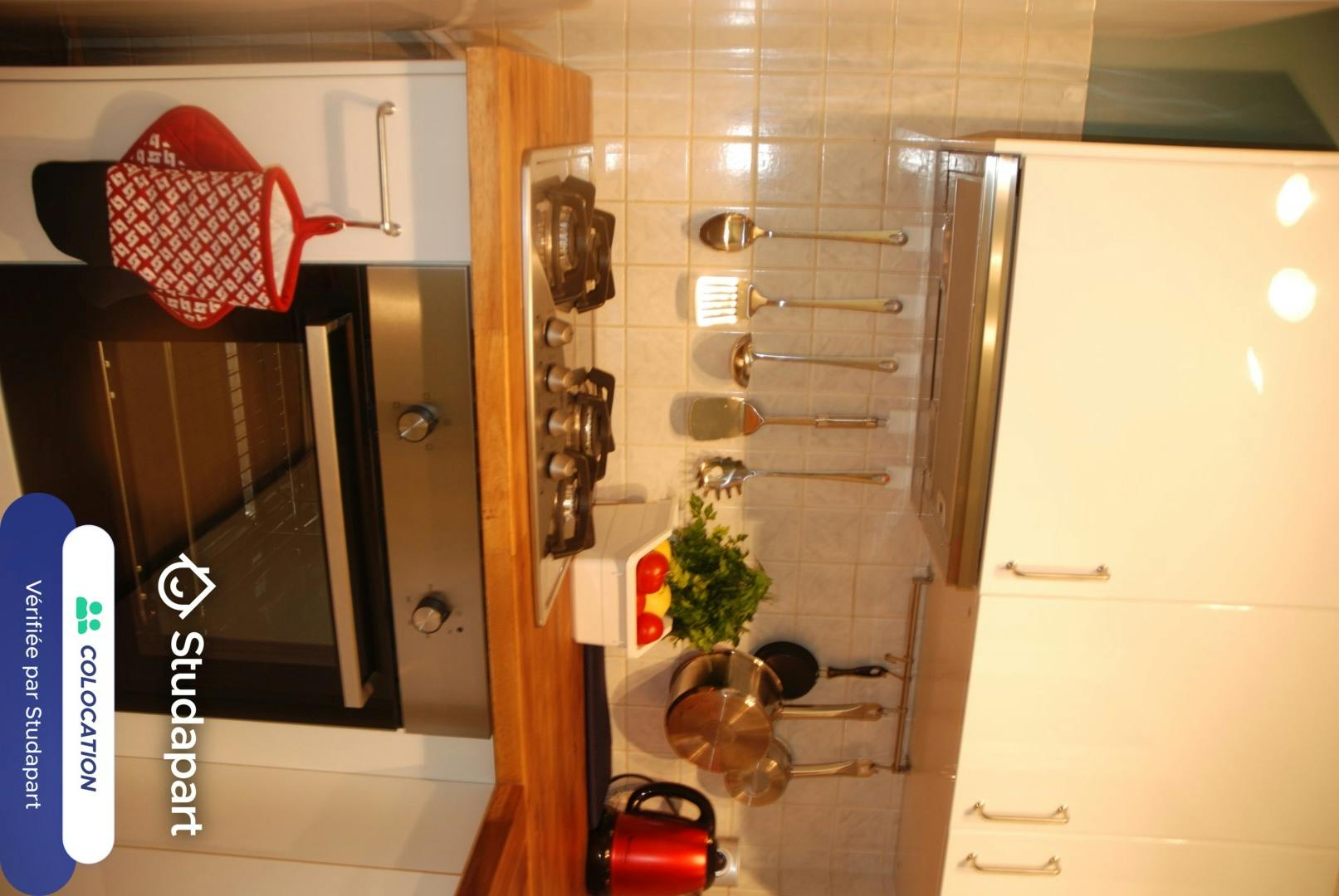 Private room for rent on Rue Henry Dunant, Toulouse - Vue 4