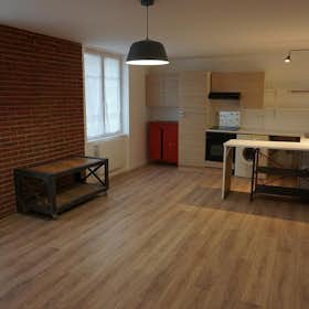 Studio for rent for €470 per month in Clermont-Ferrand, Rue Paul Diomède