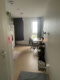 私人房间 正在以 €605 的月租出租，其位于 Groningen, Antaresstraat