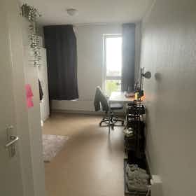 Отдельная комната сдается в аренду за 605 € в месяц в Groningen, Antaresstraat