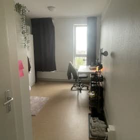 WG-Zimmer for rent for 605 € per month in Groningen, Antaresstraat