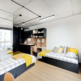 Shared room for rent for PLN 2,000 per month in Kraków, aleja 3 Maja