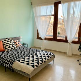 Private room for rent for €700 per month in Florence, Viale Francesco Redi