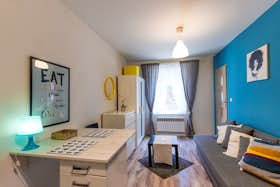 单间公寓 正在以 €220 的月租出租，其位于 Katowice, ulica Lisa