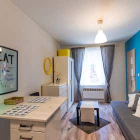 单间公寓 正在以 PLN 949 的月租出租，其位于 Katowice, ulica Lisa