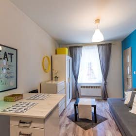 Studio for rent for €220 per month in Katowice, ulica Lisa
