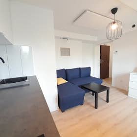 Studio for rent for €243 per month in Katowice, ulica Tomasza