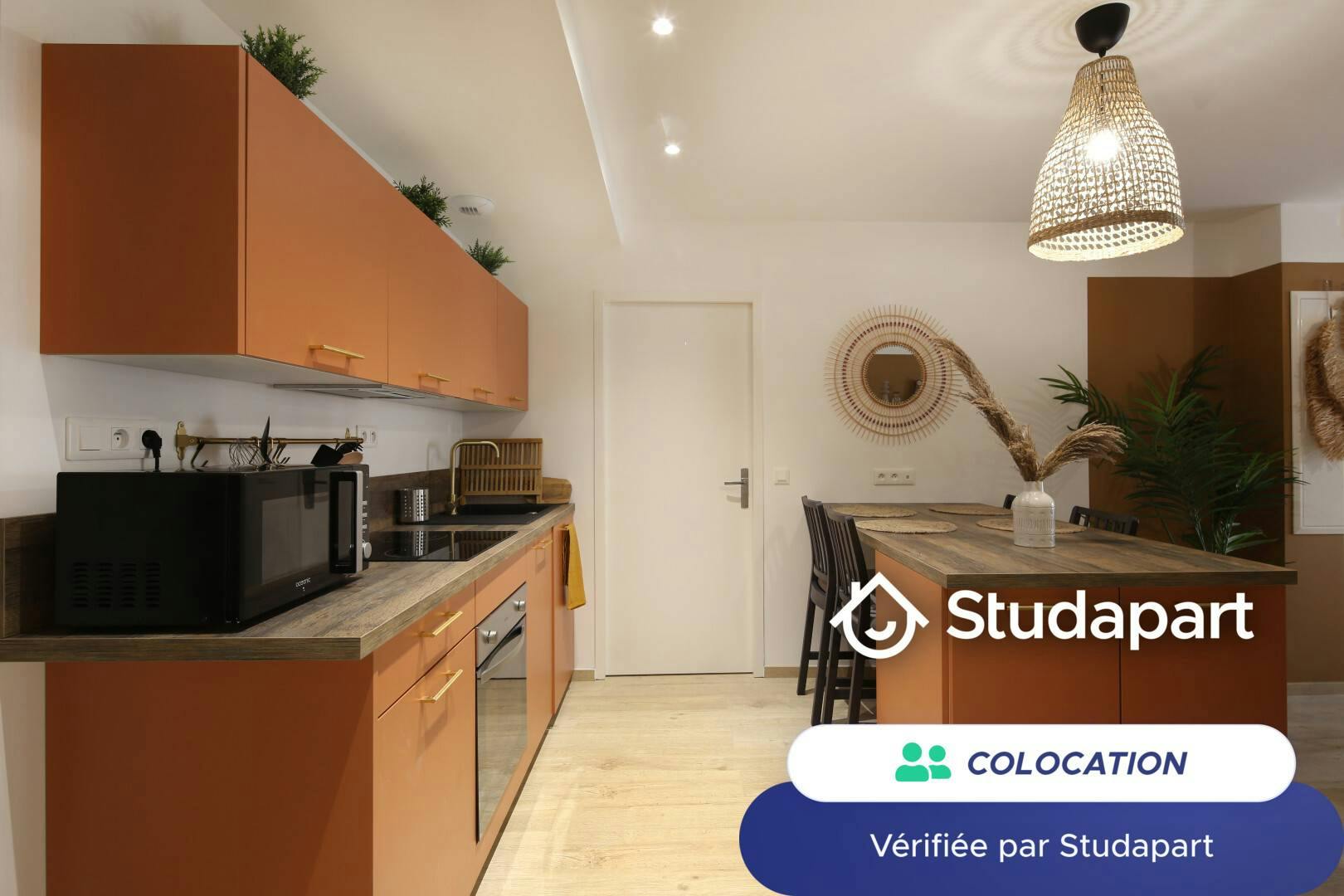 Private room for rent on Rue Ravat, Lyon - Vue 4