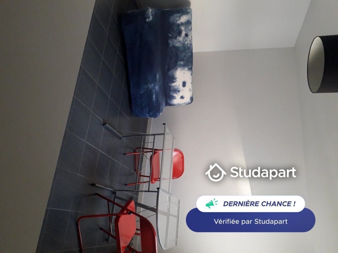 Apartment for rent on Rue Henri Lebert, Colmar