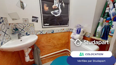 Private room for rent on Rue Raymond Marcheron, Vanves, Vanves