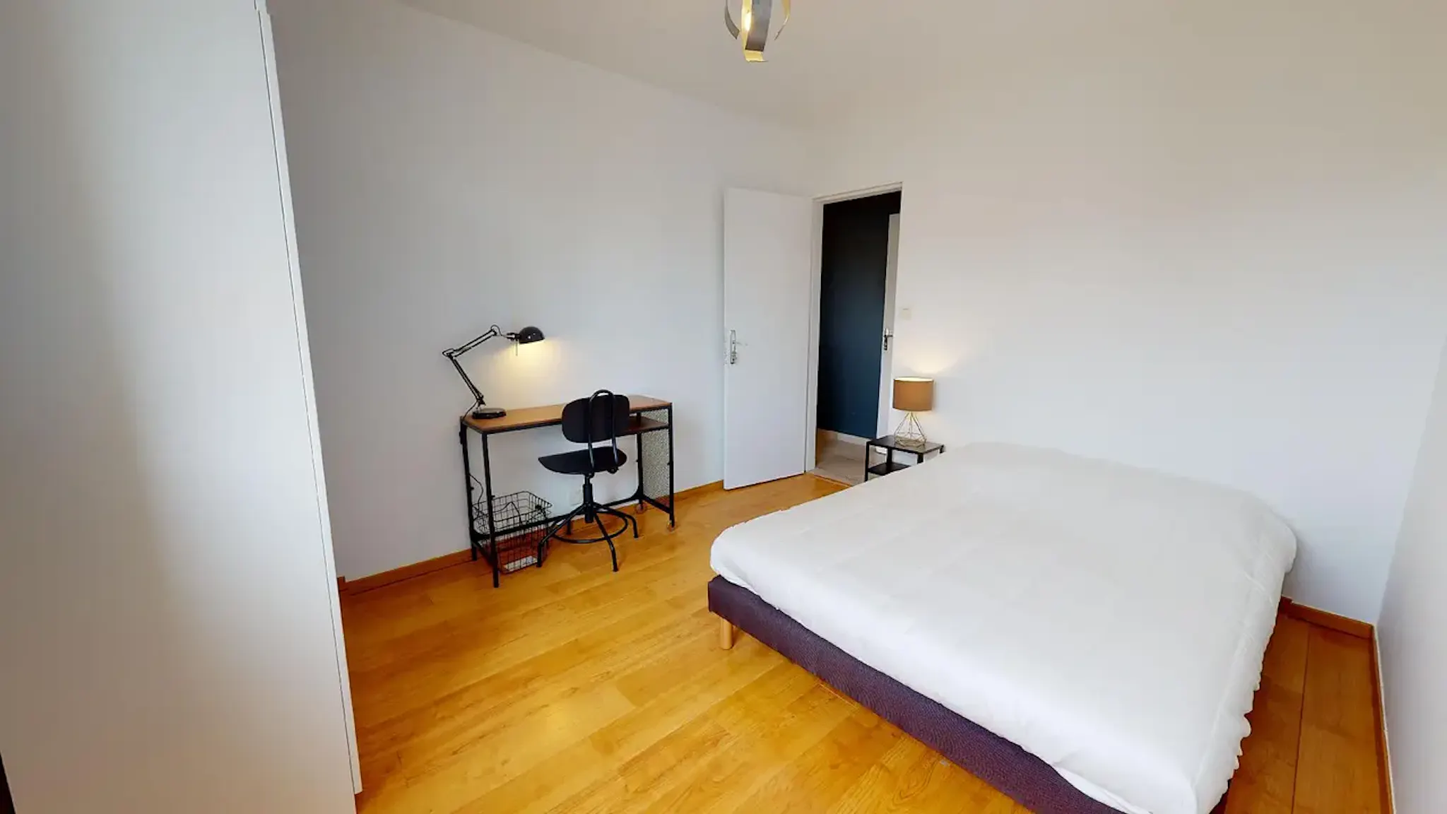 Rue du Rhône, Lyon preview