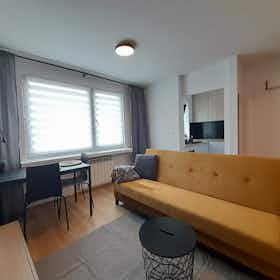 单间公寓 正在以 PLN 1,000 的月租出租，其位于 Sosnowiec, ulica 11 Listopada