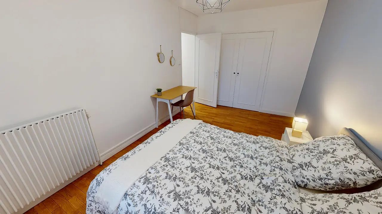 Rue Barral de Montferrat, Grenoble preview