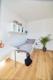 Private room for rent for €619 per month in Vienna, Kaisermühlenstraße