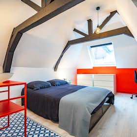 Privé kamer te huur voor € 640 per maand in Mons, Rue d'Havré